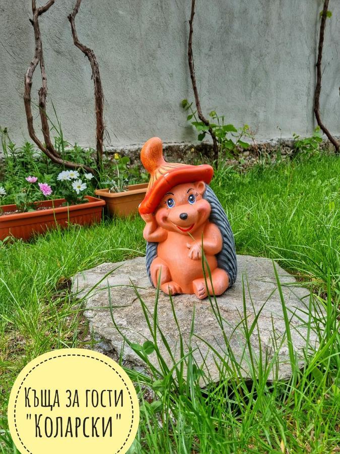 Къща За Гости Коларски 사파레바바냐 외부 사진